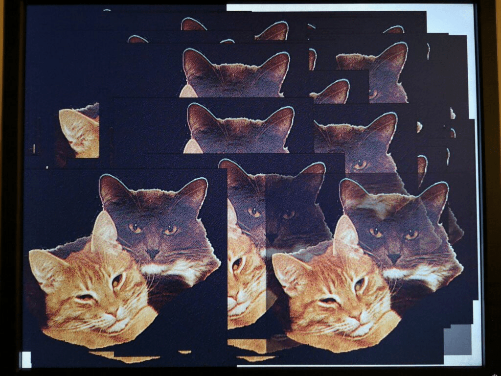 1771062128690.png