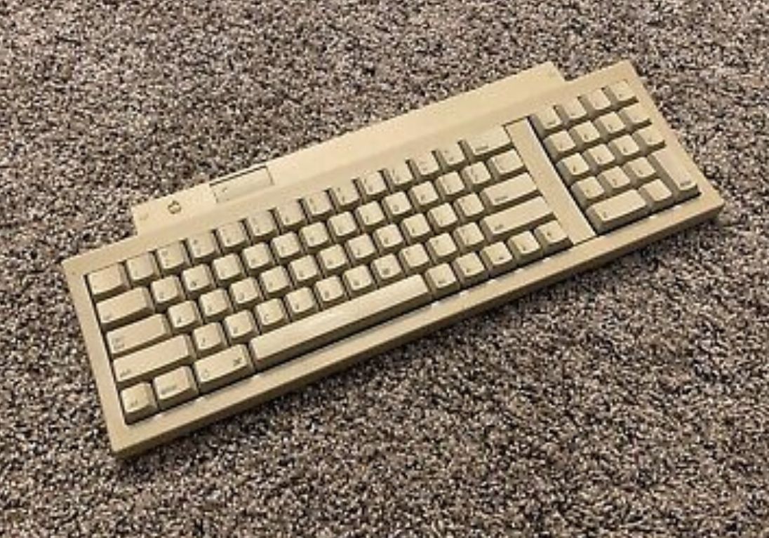 94FD499E-14DC-426C-A91F-1BCD3FD6D3B5.jpeg