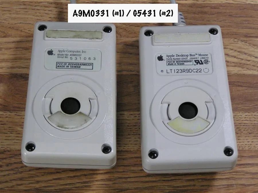 am90331-g5431-early.jpg