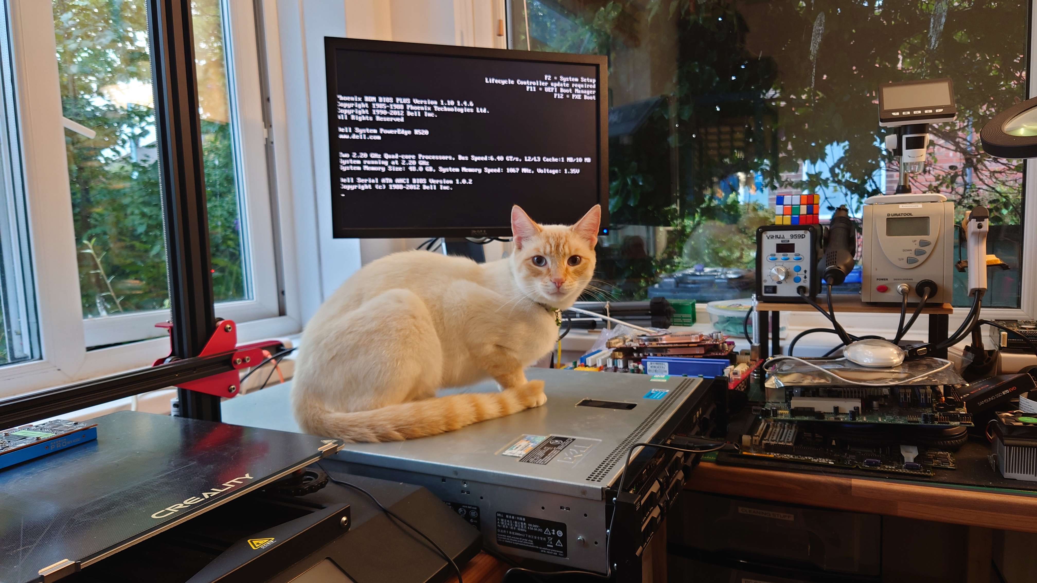 DSC_2461.jpg