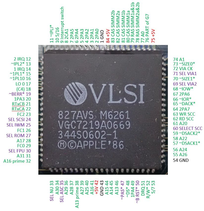 GLU Chip.jpg
