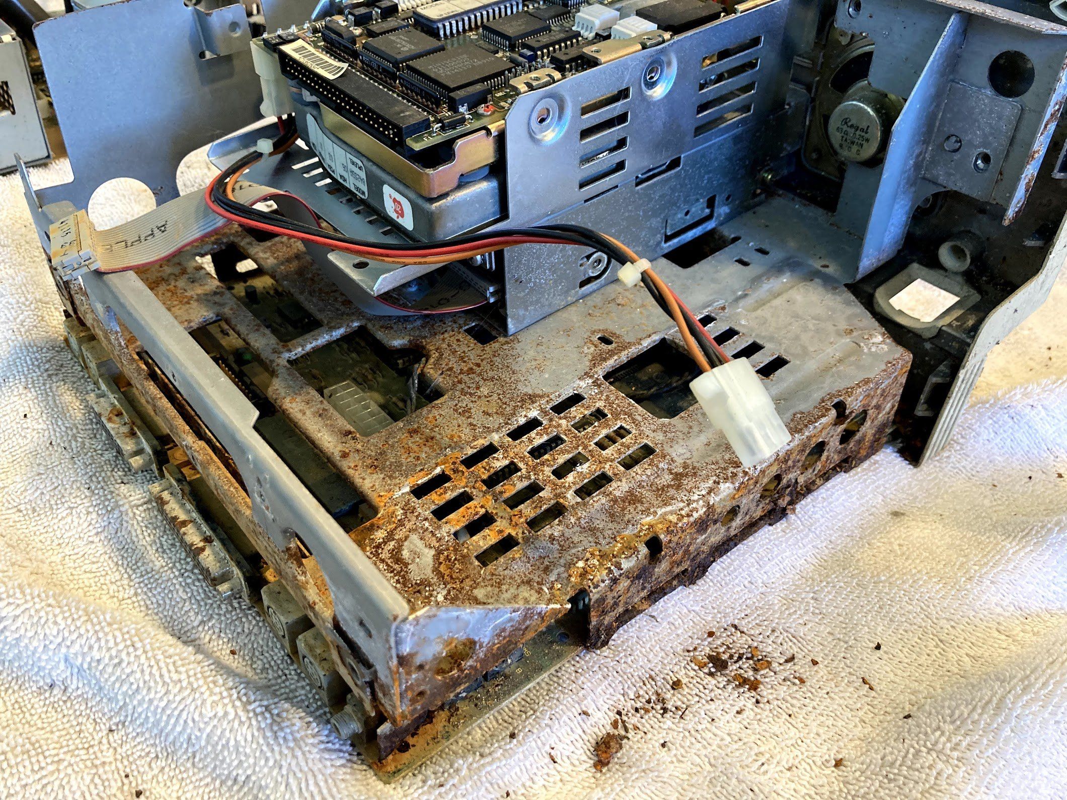 IMG_0320.jpg