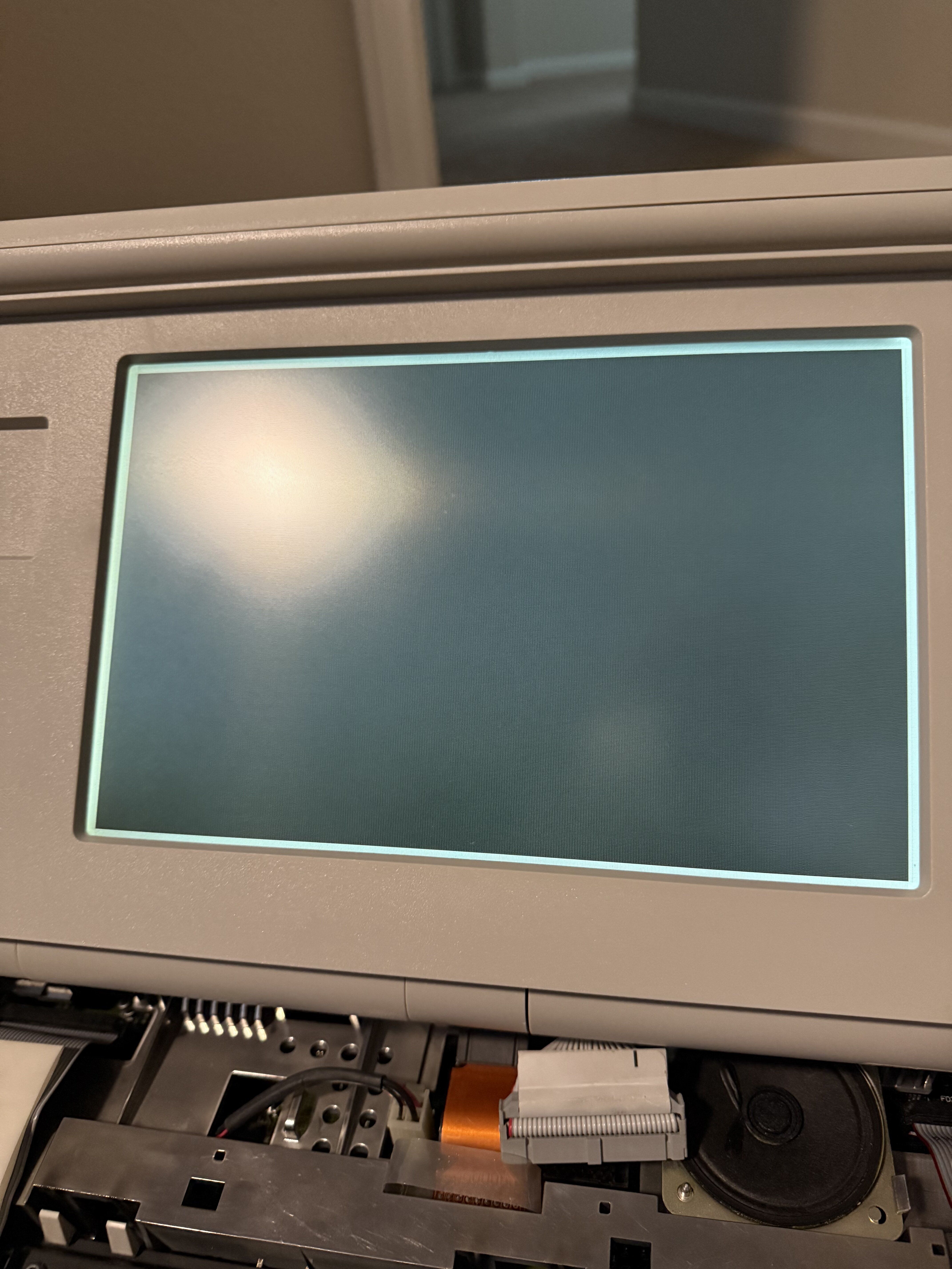IMG_1367.jpeg