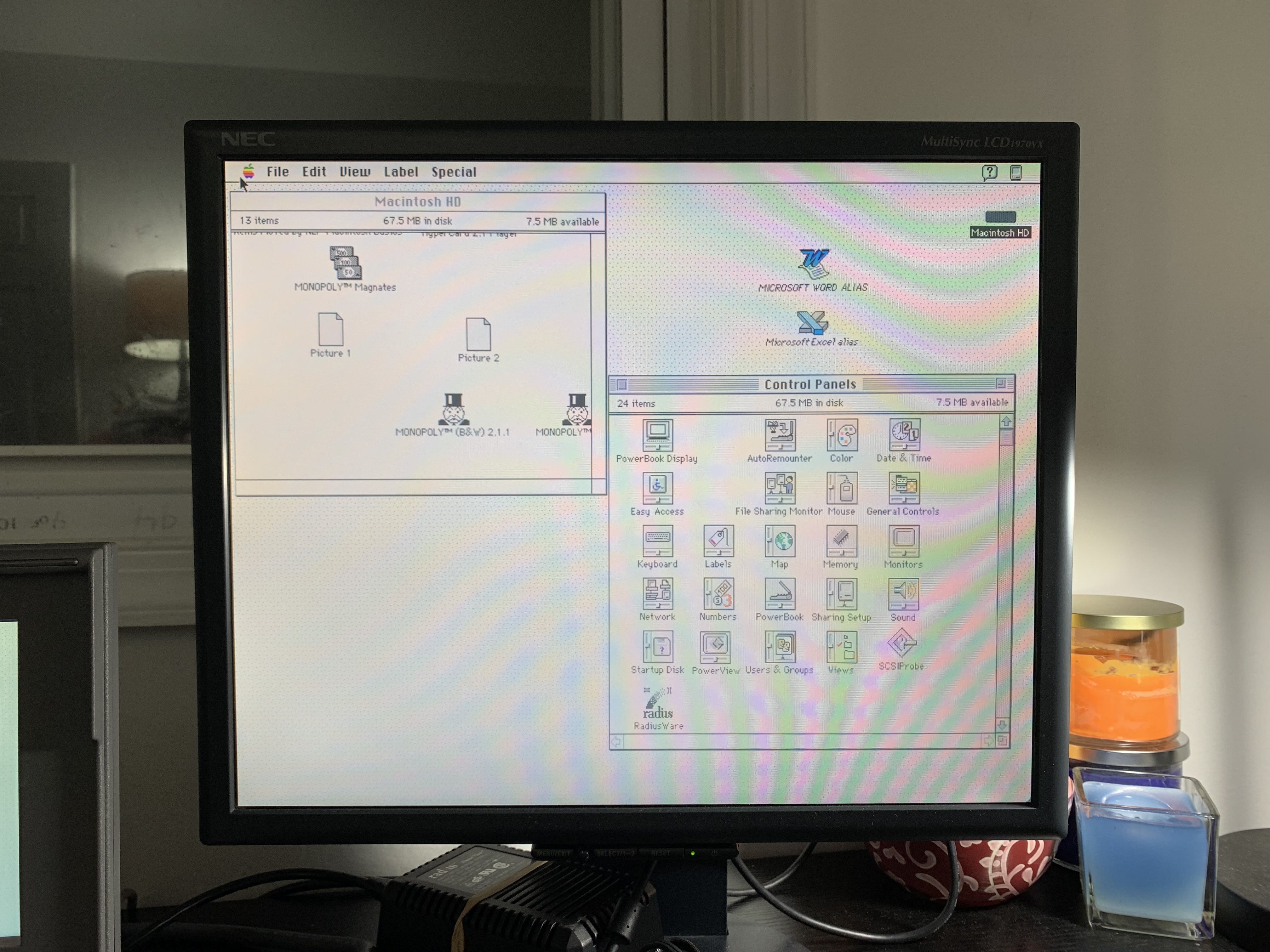 IMG_1768.jpeg