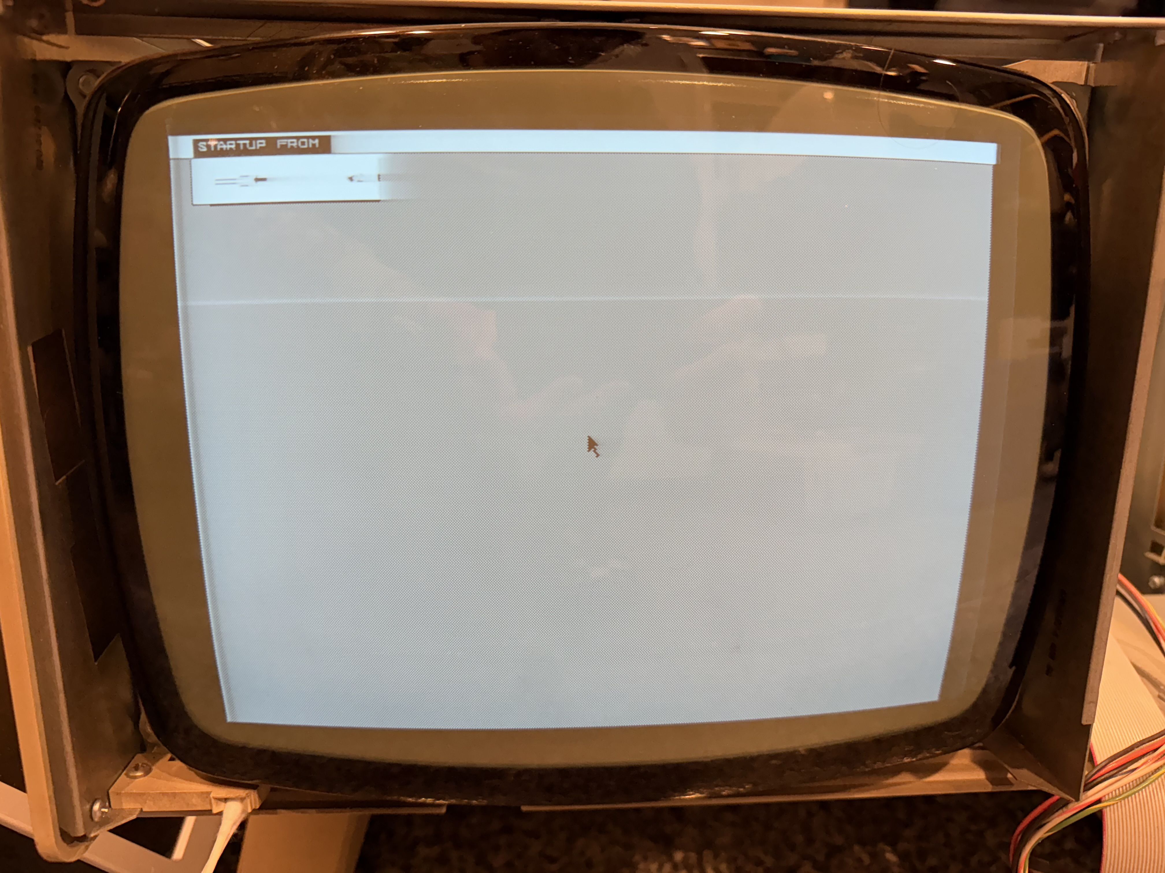 IMG_3333.jpeg