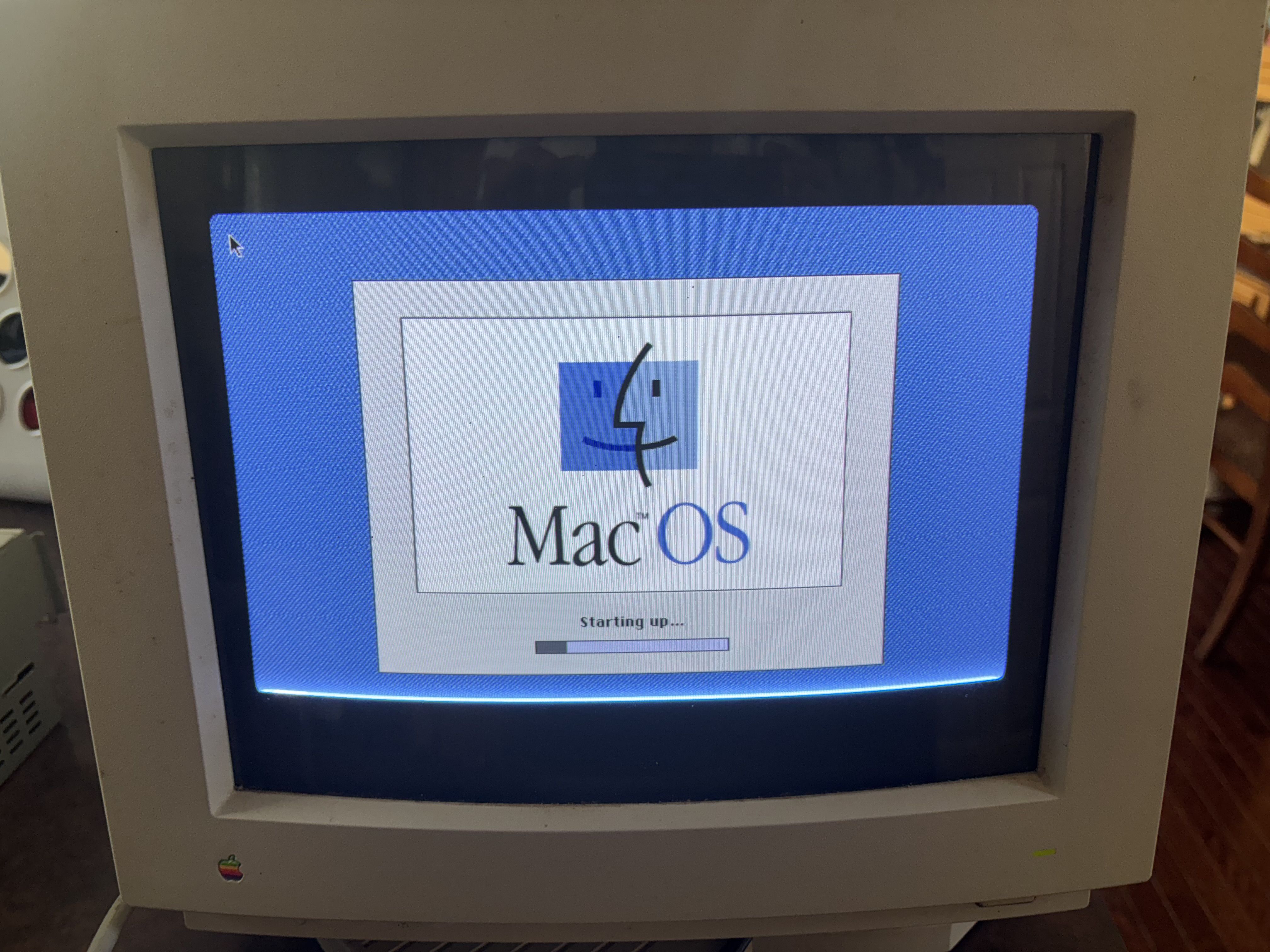 IMG_5924.jpeg