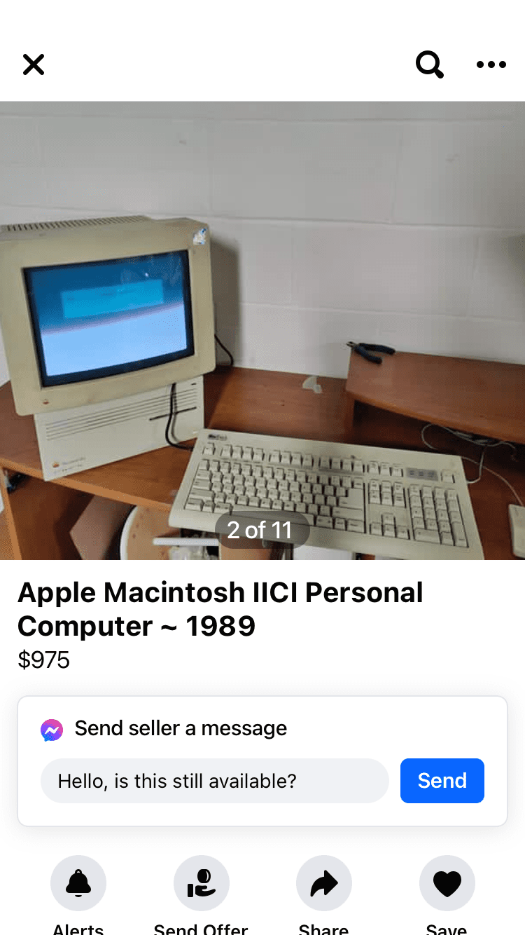 IMG_7115.png
