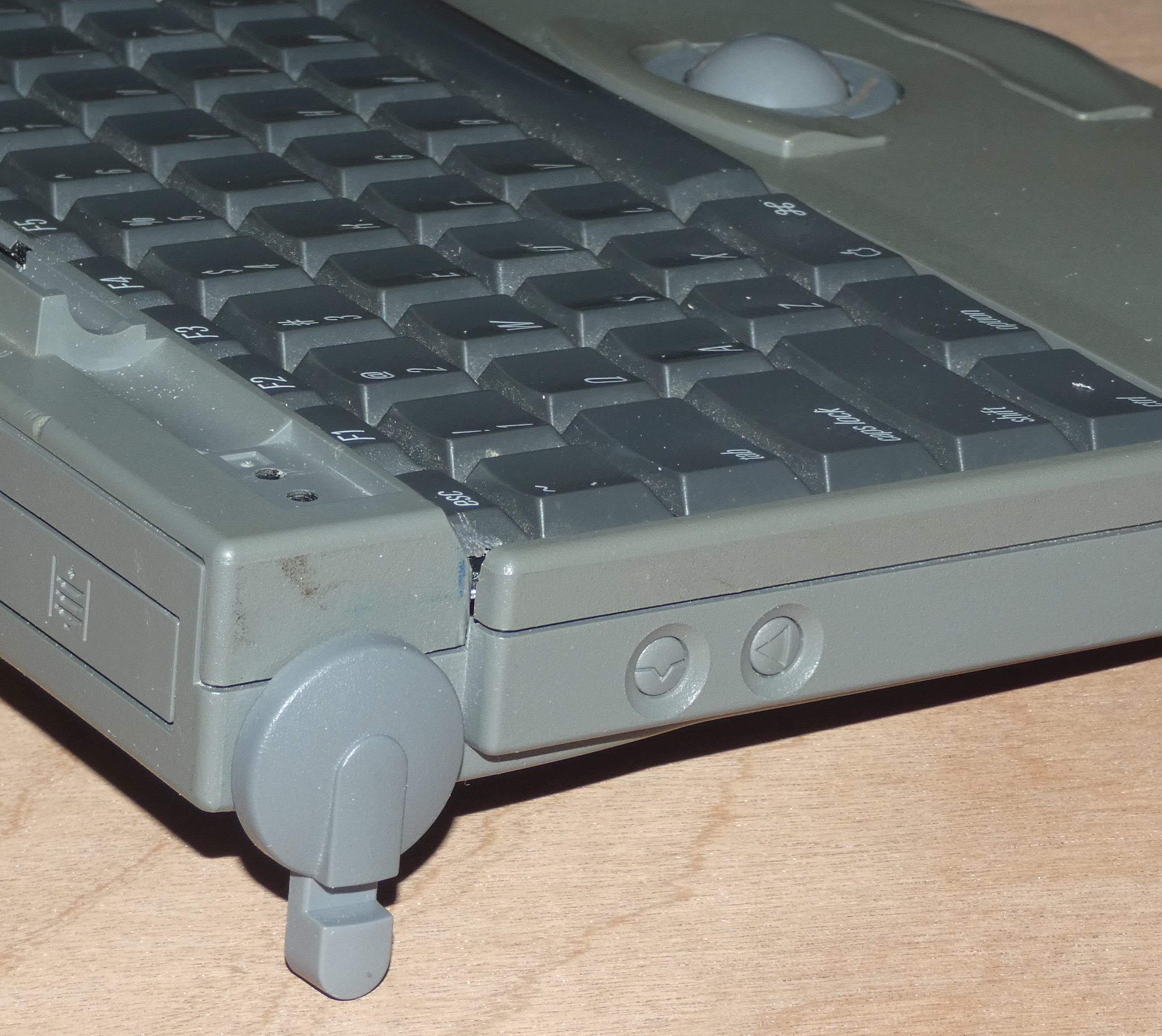 P1000922-c.JPG