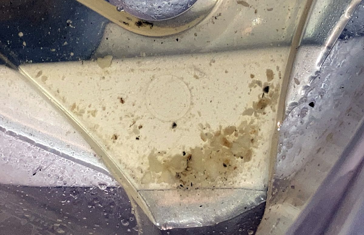 PPC2026-10-sediment.jpg