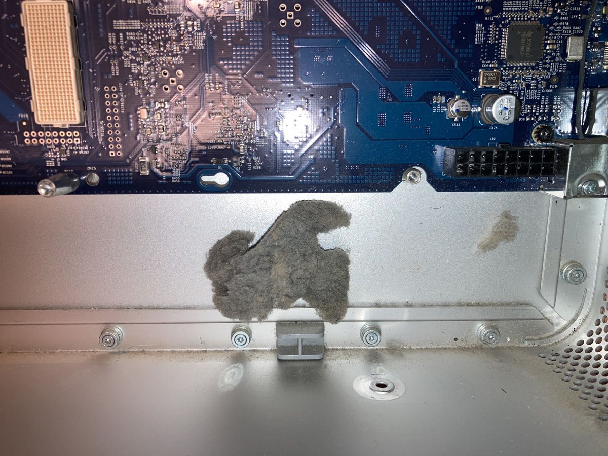 PPC2026-31-G5D2-10bunnies.jpg