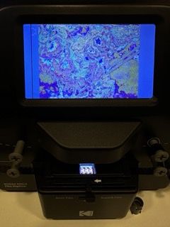 scan.jpeg