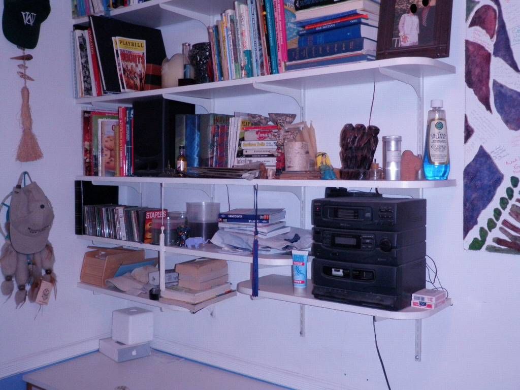 shelfsystem0806-2frog.jpg