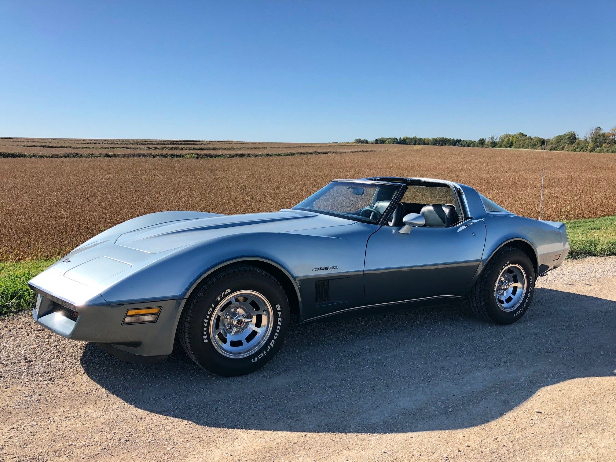vette.jpg