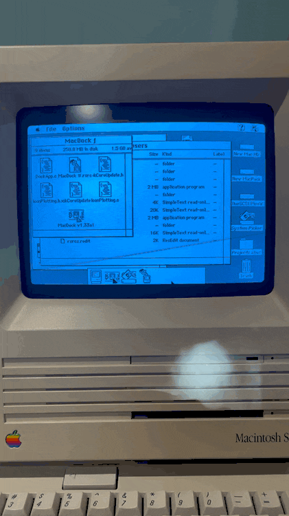 VideoToGif_GIF.gif