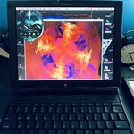 7759B0FF-9D99-434B-958B-BACAC6B2E5C9.jpeg