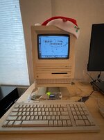 IMG_1115.jpg