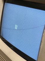IMG_0200.jpeg