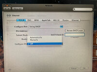 IMG_9525.jpeg