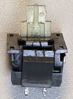 PXL_20230310_031517688-cropped.jpg