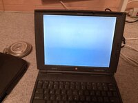 IMG_3382.jpeg
