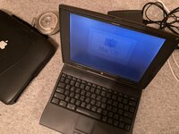 IMG_3381.jpeg