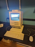 PXL_20230316_132244808.jpg