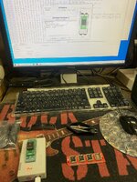 IMG_4335.jpeg