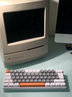 IMG_7886.jpeg
