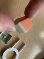 IMG_7882.jpeg
