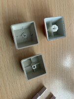 IMG_7883.jpeg