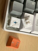 IMG_7884.jpeg