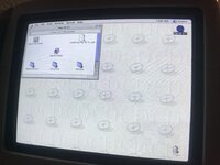 IMG_3334.jpeg