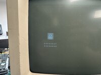 IMG_0595.jpeg IMG_0595.jpeg