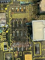 IMG_2781.jpeg