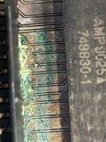 IMG_2776.jpeg