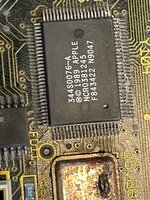 IMG_2774.jpeg