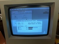IMG_5398.jpeg