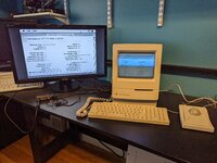 PXL_20230519_184633635.jpg PXL_20230519_184633635.jpg