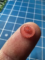 IMG_5191.jpeg
