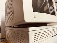 IMG_3245.jpeg
