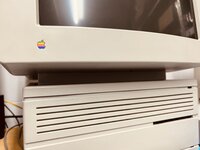 IMG_3247.jpeg