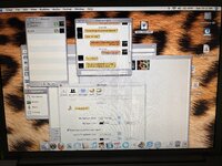 IMG_5695.jpeg