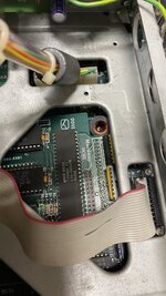 IMG_8019.jpeg