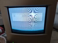 IMG_20231126_215044.jpg