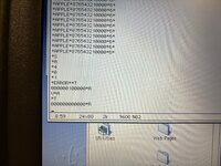 IMG_0575.jpeg IMG_0575.jpeg