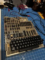 IMG_7424.jpeg