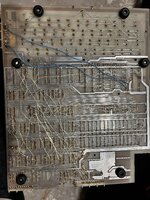IMG_7428.jpeg