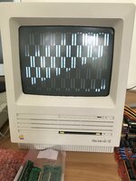 IMG_0815.jpeg