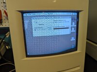 PXL_20240217_214331466.jpg