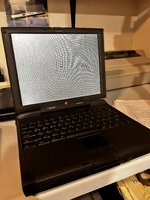 IMG_7671.jpeg